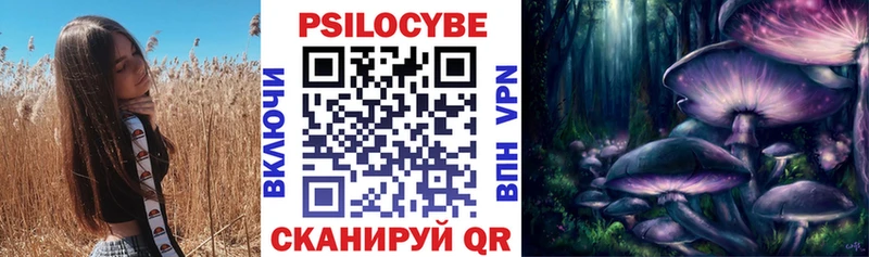 Псилоцибиновые грибы Cubensis  Сочи 