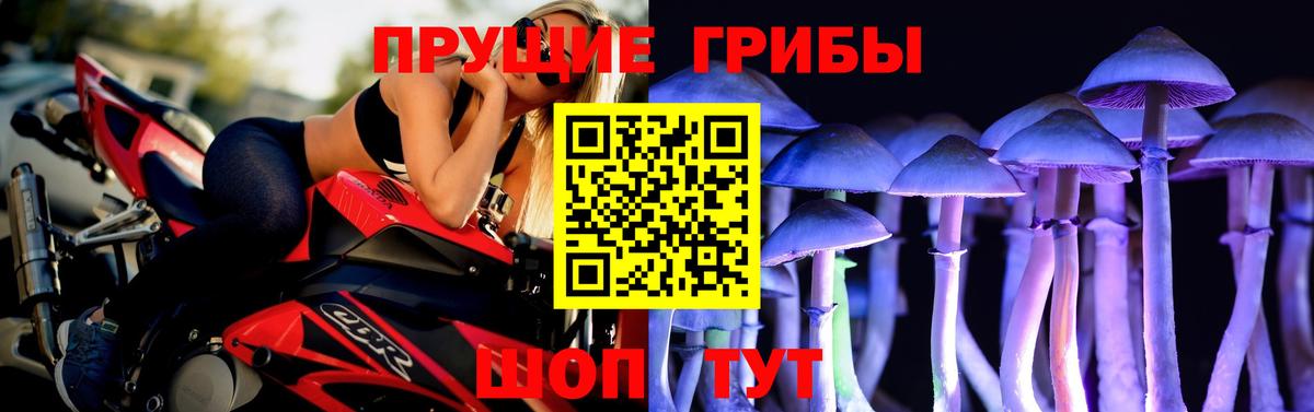 Псилоцибиновые грибы прущие грибы  продажа наркотиков  Сочи  Вход с VPN 