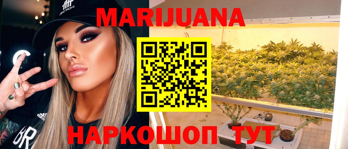 Каннабис конопля Сочи
